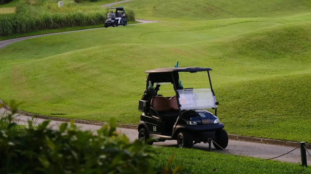 Featured image for Professional Golf Cart Storage at PG 17 Storage in Punta Gorda